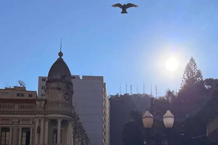 Tempo volta a esquentar em Juiz de Fora e termômetro pode superar os 30 graus