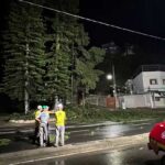 Pinheiro cai em fiação elétrica na Avenida JK e moradores da região ficam sem energia 