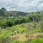 Voluntários plantam mais de 5 mil árvores em reserva da Mata Atlântica