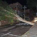 Tempestade e vendaval em JF deixam pessoa ilhada, árvores caídas, ruas alagadas e mais de 70 mil sem energia elétrica