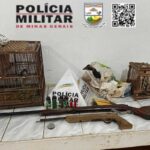 Polícia apreende bico de tucano e aves silvestres em propriedade no interior de Minas 