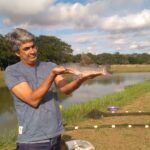 Conheça o piabanha, peixe de água doce que nomeia projeto ambiental nascido no Noroeste Fluminense