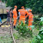 Corpo de homem desaparecido é encontrado próximo a linha de trem 