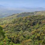 Organizações da Sociedade Civil podem participar da organização da 5ª Conferência Estadual do Meio Ambiente em Minas